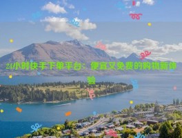 24小时快手下单平台：便宜又免费的购物新体验