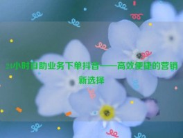 24小时自助业务下单抖音——高效便捷的营销新选择