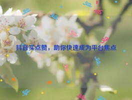 抖音买点赞，助你快速成为平台焦点