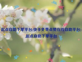 起点自助下单平台(快手免费点赞在线自助平台),起点自助下单平台