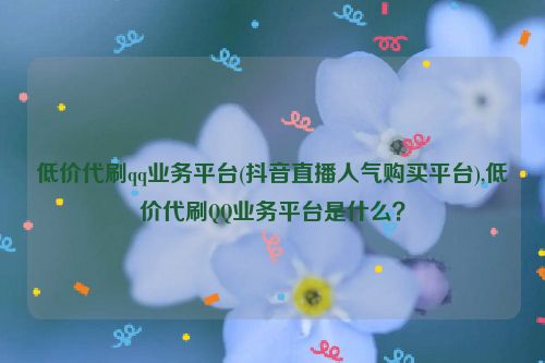 低价代刷qq业务平台(抖音直播人气购买平台),低价代刷QQ业务平台是什么？