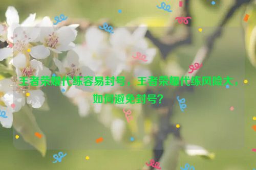 王者荣耀代练容易封号，王者荣耀代练风险大，如何避免封号？